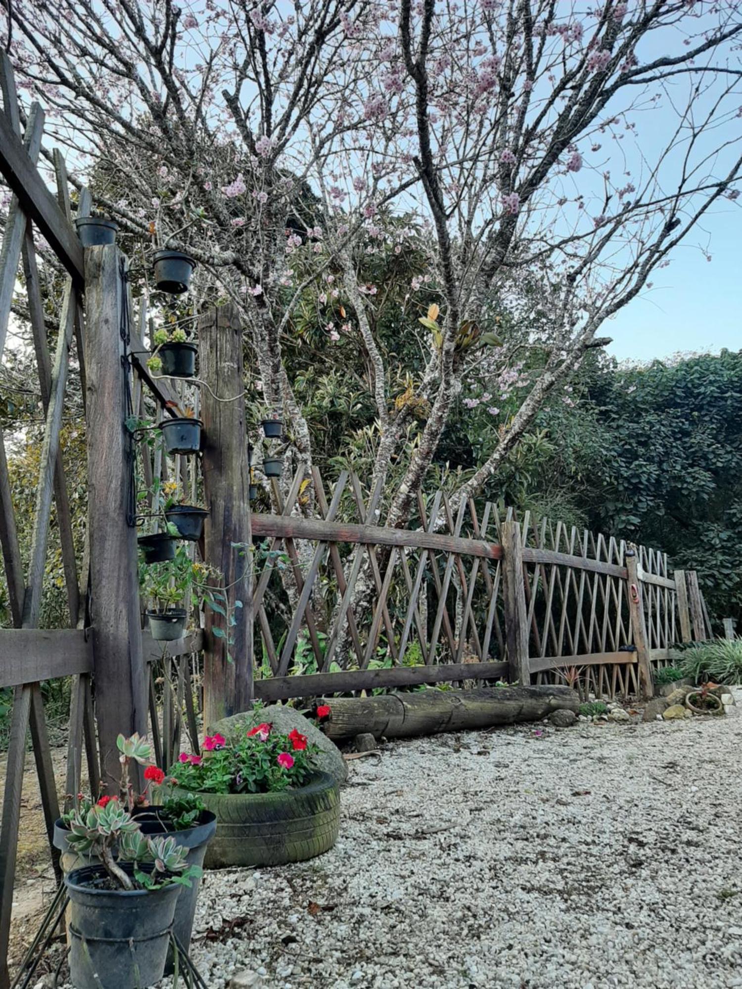 Vila Casa Kiiro, Um Ambiente Tranquilo E De Sossego. Santo Antônio do Pinhal Exteriér fotografie